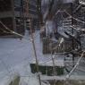 neige