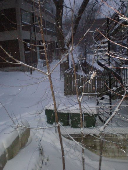 neige