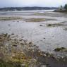 Nanaimo