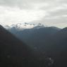 Whistler