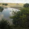 Milk River