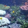 Seattle Aquarium